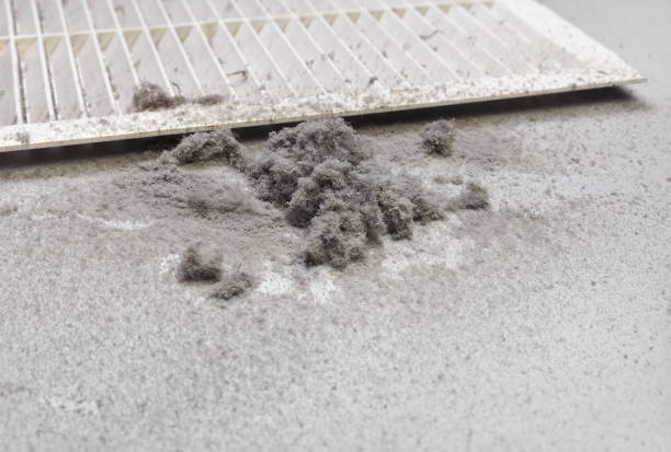 Best HVAC Maintenance and Cleaning  in Bluff City, TN