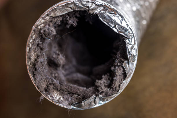 Best Air Vent Cleaning Services  in Bluff City, TN